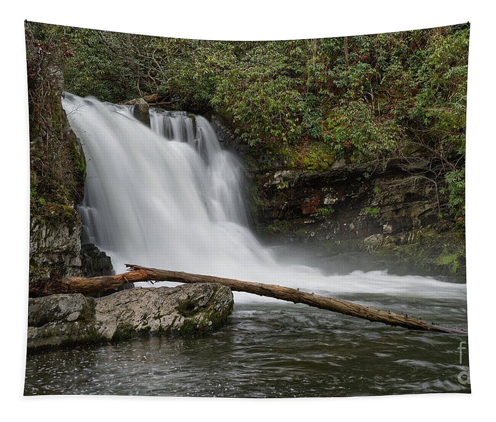 Abrams Falls Tapestry featuring the photograph Abrams Falls 13 by Phil Perkins
