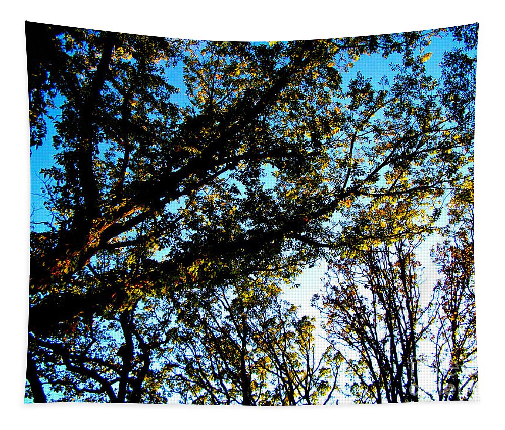 Nature Tapestry featuring the photograph Abstract Autumn Sunlit Tree Branches - Color by Frank J Casella