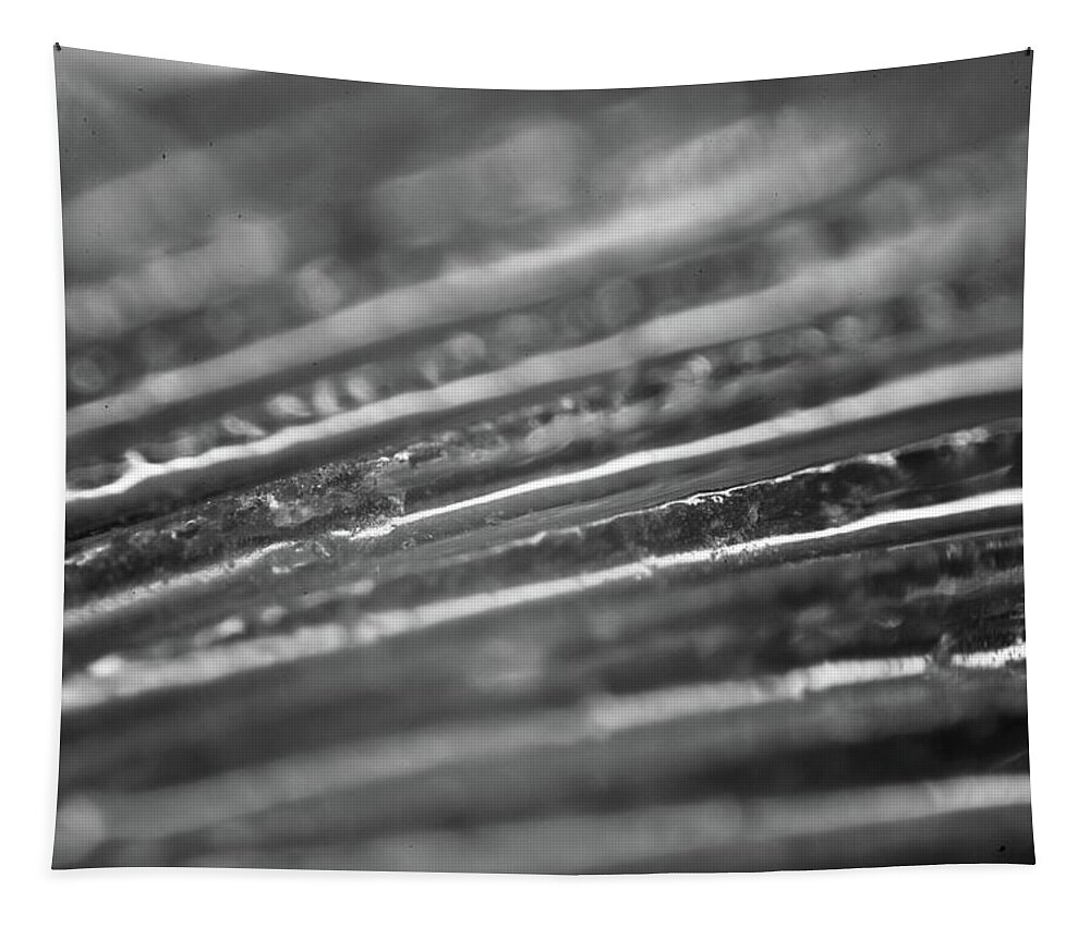 Abstract Tapestry featuring the photograph Abstract Lines Mono by Neil R Finlay