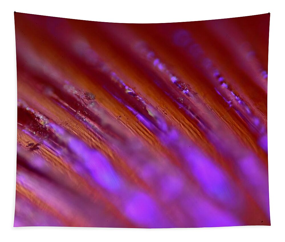 Abstract Tapestry featuring the photograph Abstract by Neil R Finlay