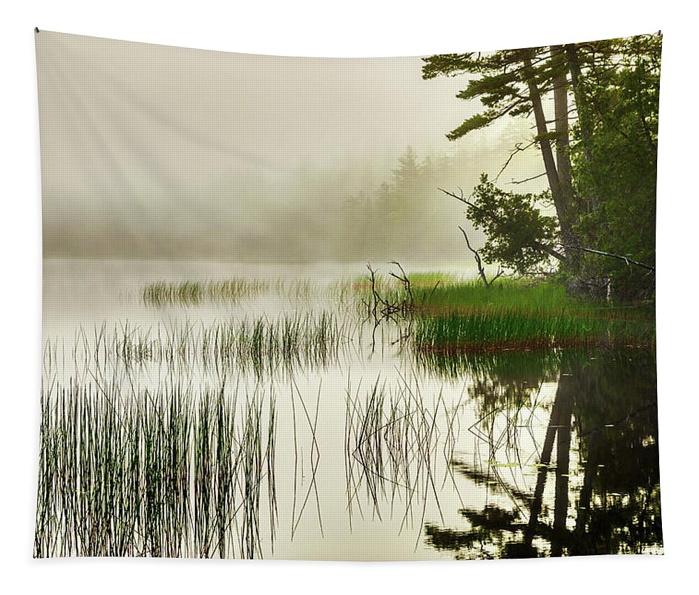 Acadia Tapestry featuring the photograph Acadia Fog 34a2034 by Greg Hartford