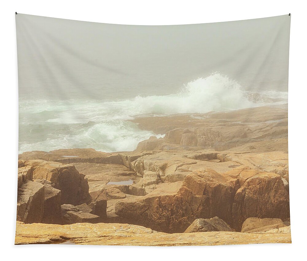 Acadia Tapestry featuring the photograph Acadia National Park Fog by Amelia Pearn