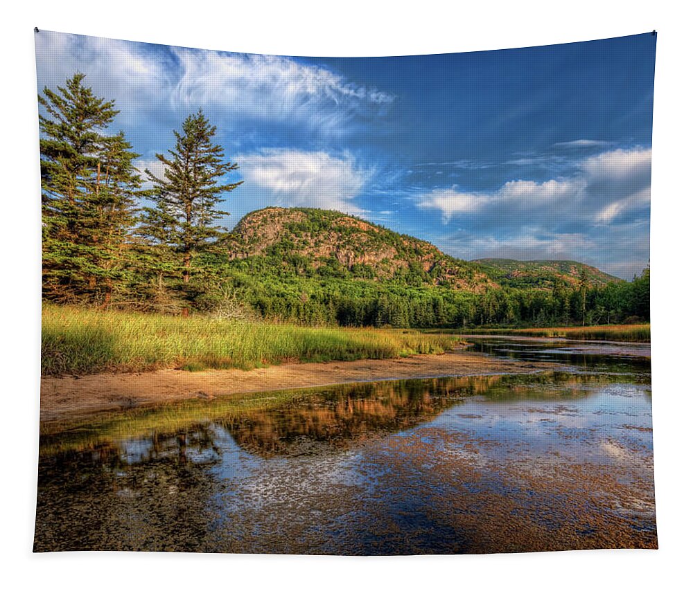 Acadia National Park Tapestry featuring the photograph Acadia img a6900 by Greg Hartford