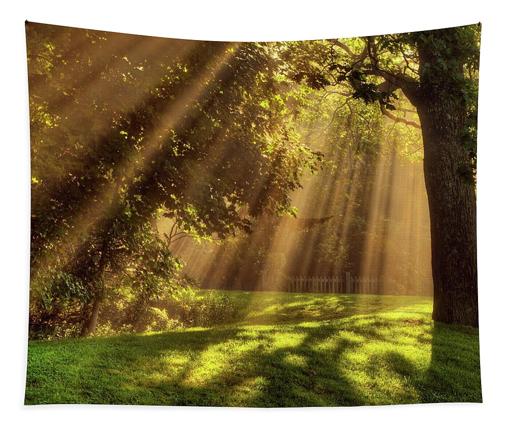 Sunburst Tapestry featuring the photograph Acadia Rays 2032 by Greg Hartford