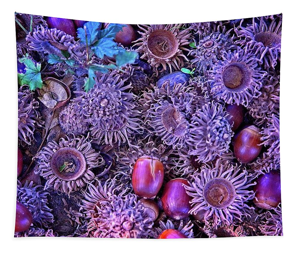 Abstract Tapestry featuring the digital art Acorns, Pods, And Seeds by David Desautel