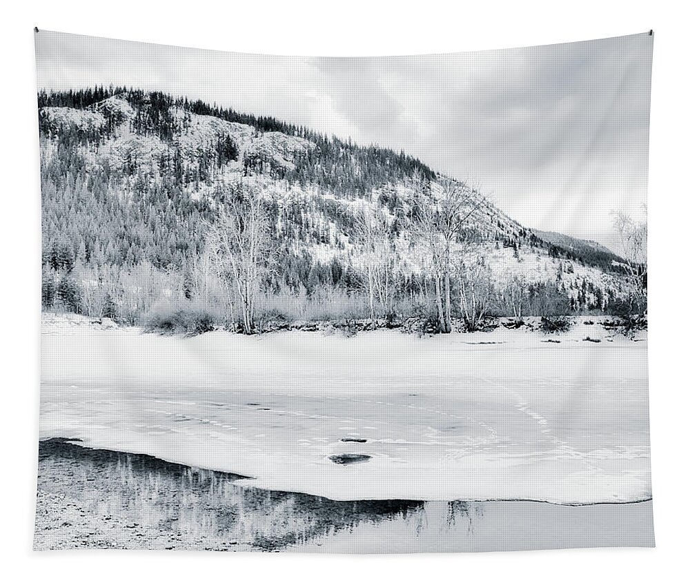 Black And White Photography Tapestry featuring the photograph Across the Shuswap River Winter Black and White by Allan Van Gasbeck