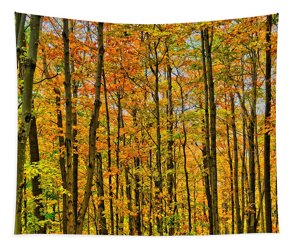 Nature Tapestry featuring the photograph Adirondack Autumn by Judy Cuddehe