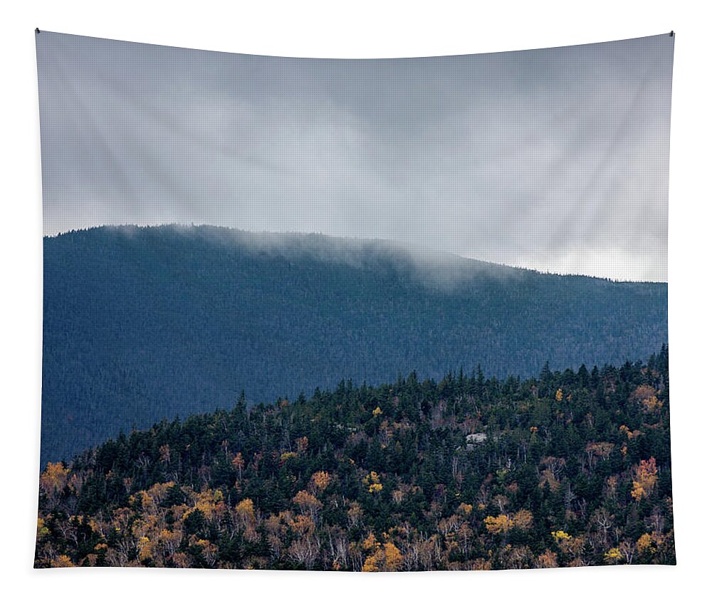 Lake Placid Tapestry featuring the photograph Adirondack Mountain View by Dave Niedbala