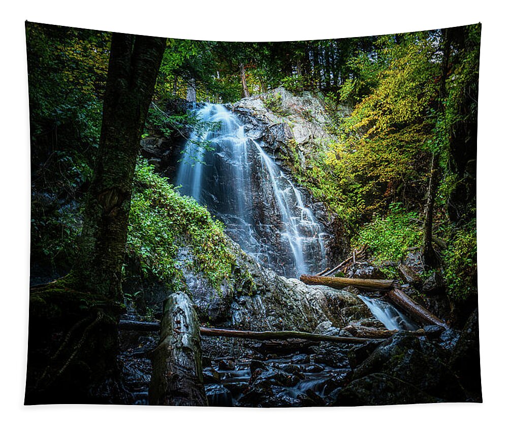 Fall Tapestry featuring the photograph Adirondacks Autumn at Stag Brook Falls 2 by Ron Long Ltd Photography