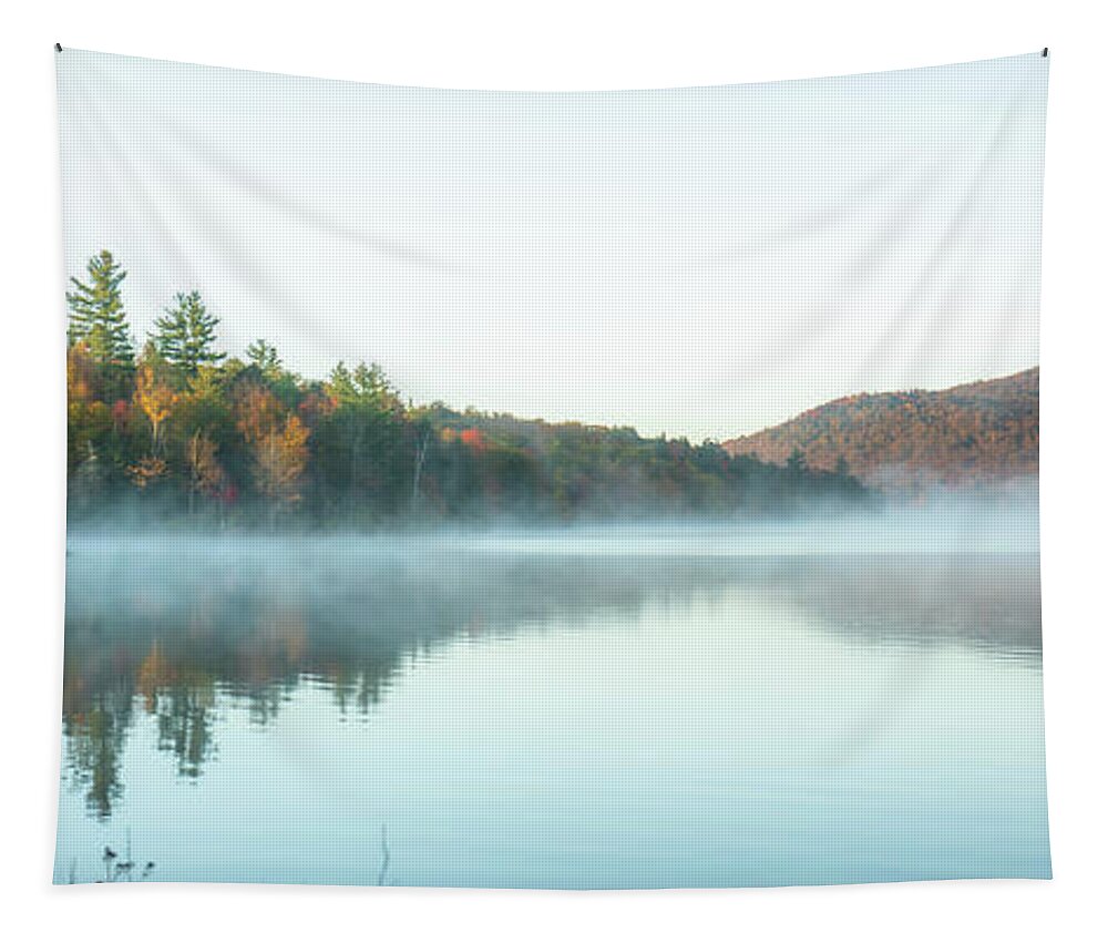 Fall Tapestry featuring the photograph Adirondacks Autumn at Tupper Lake 5 by Ron Long Ltd Photography