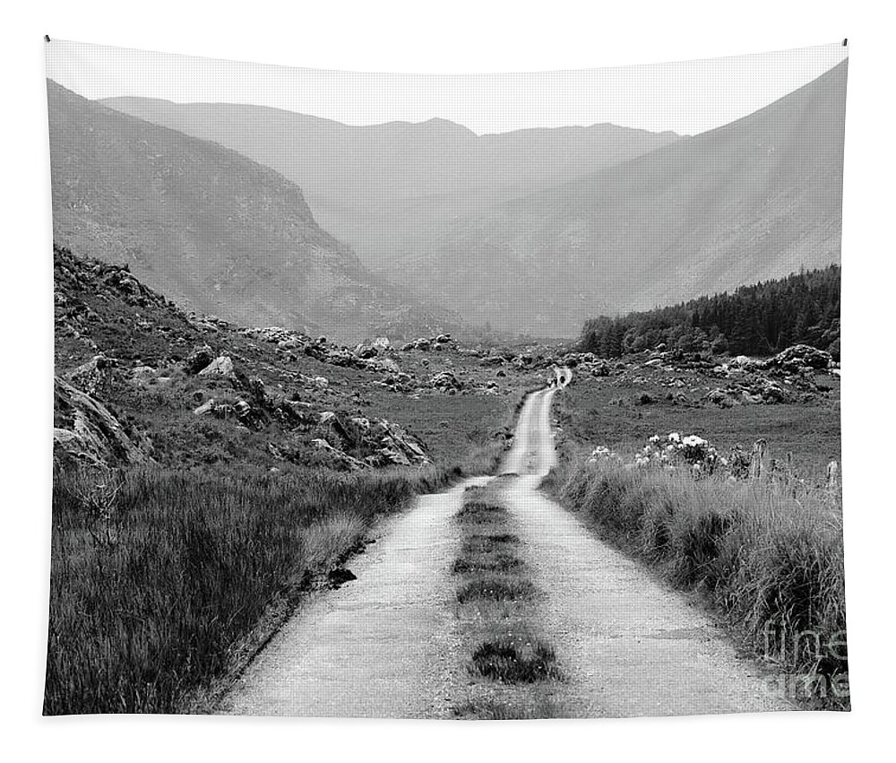 Black And White Tapestry featuring the photograph Adventure begins today by Lidija Ivanek - SiLa