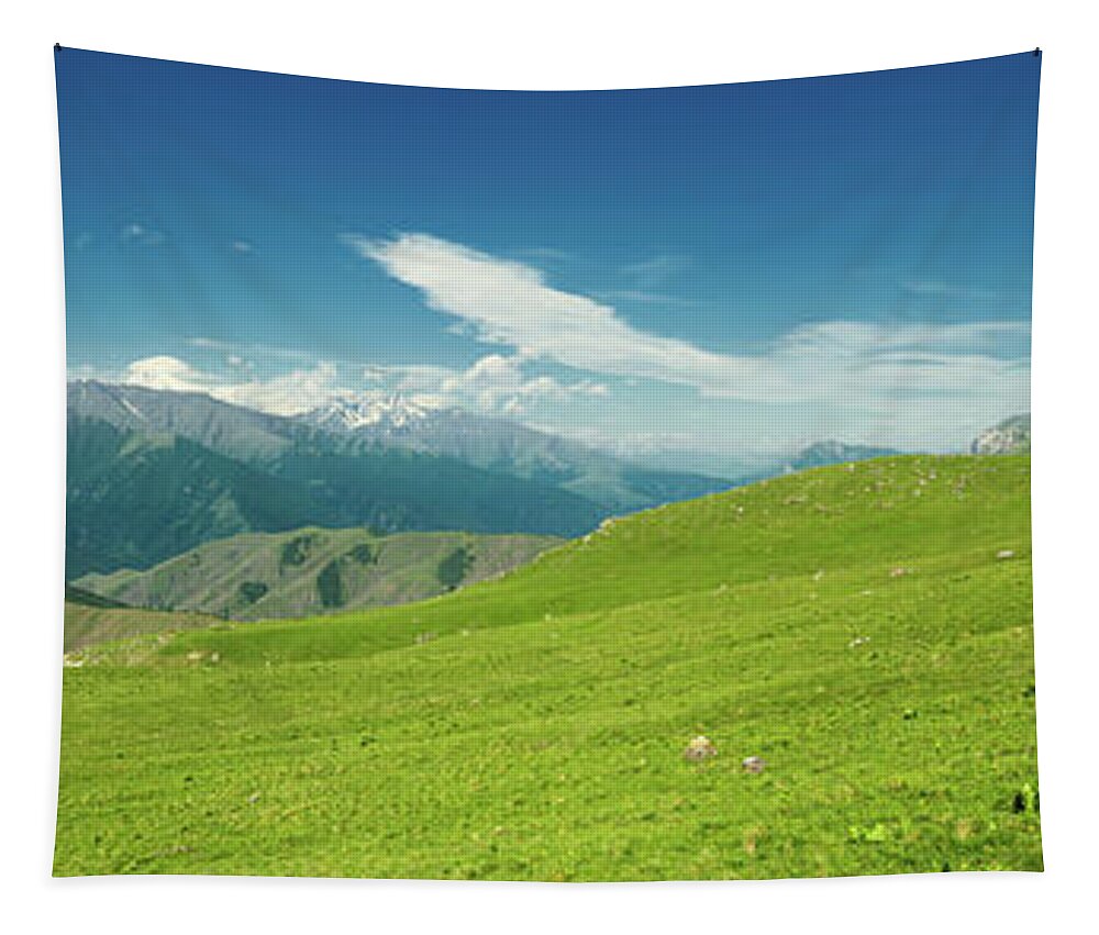 Mountain Tapestry featuring the photograph Aerial panorama landscape in mountains by Mikhail Kokhanchikov