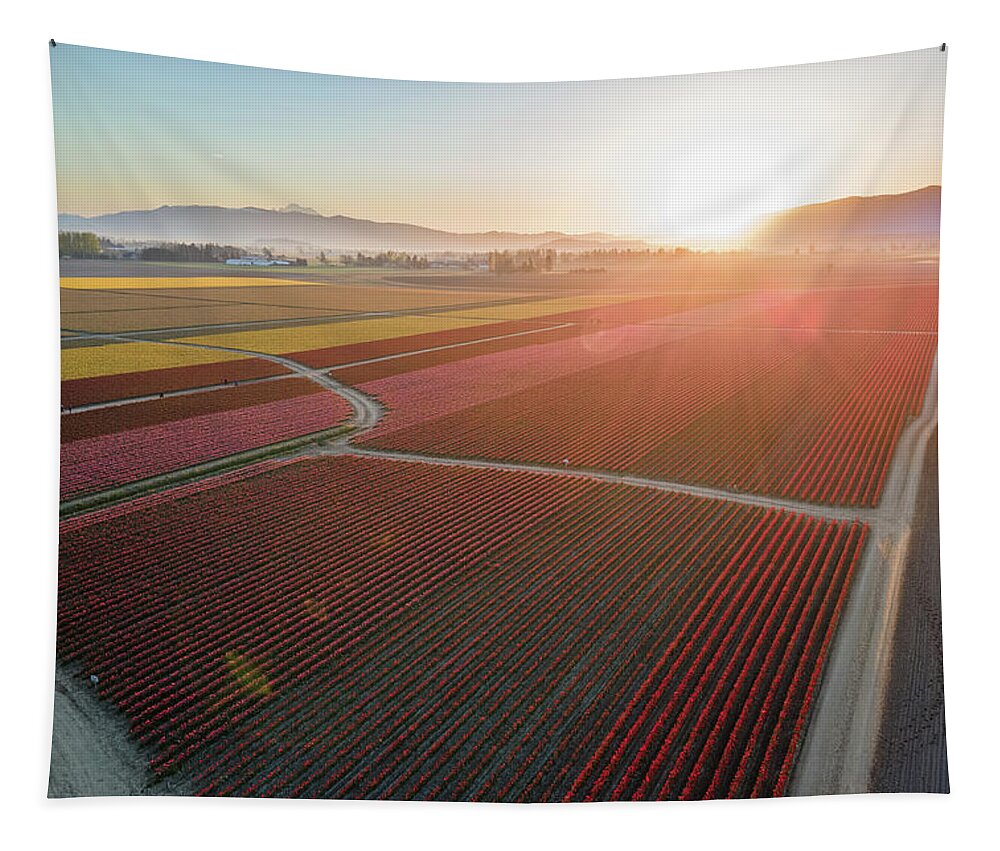 Skagit Tapestry featuring the photograph Aerial Tulips1 by Michael Rauwolf