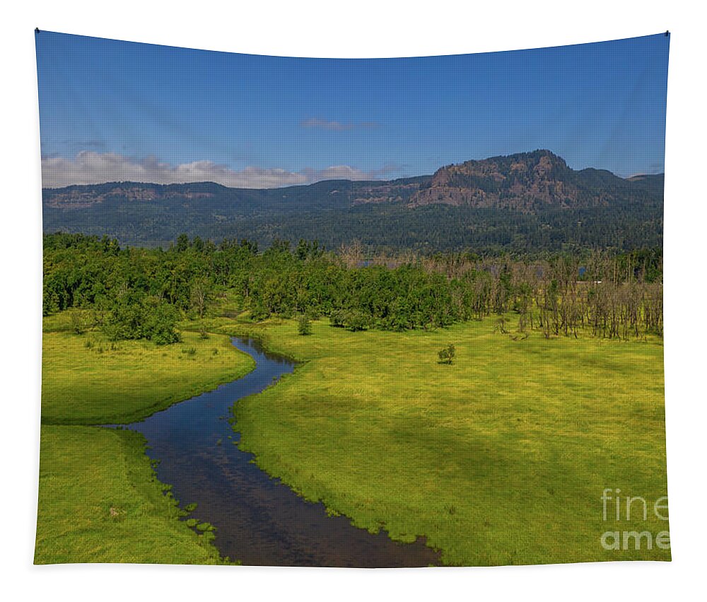 Landscape Tapestry featuring the photograph Aerial View Along The Columbia Gorge by Michael Ver Sprill