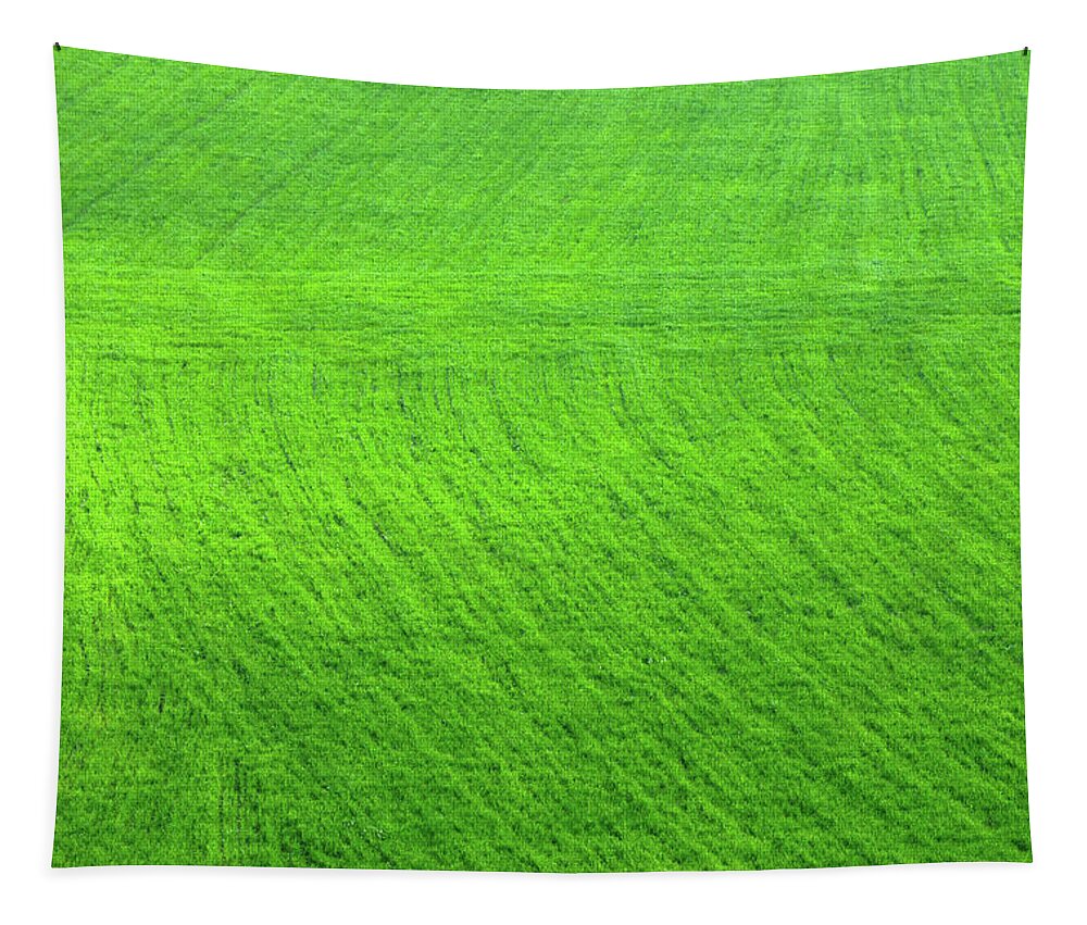 Grass Tapestry featuring the photograph Aerial View On Green Agriculture Field by Mikhail Kokhanchikov
