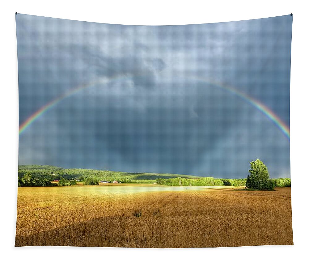 Rainbow Tapestry featuring the photograph Touched by the light by Rose-Marie Karlsen