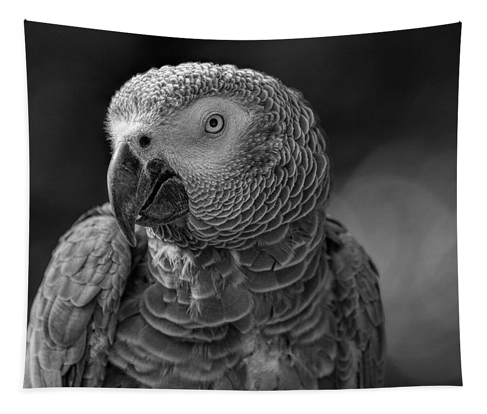  Black Tapestry featuring the photograph African Grey Parrot in Black and White by Carolyn Hutchins