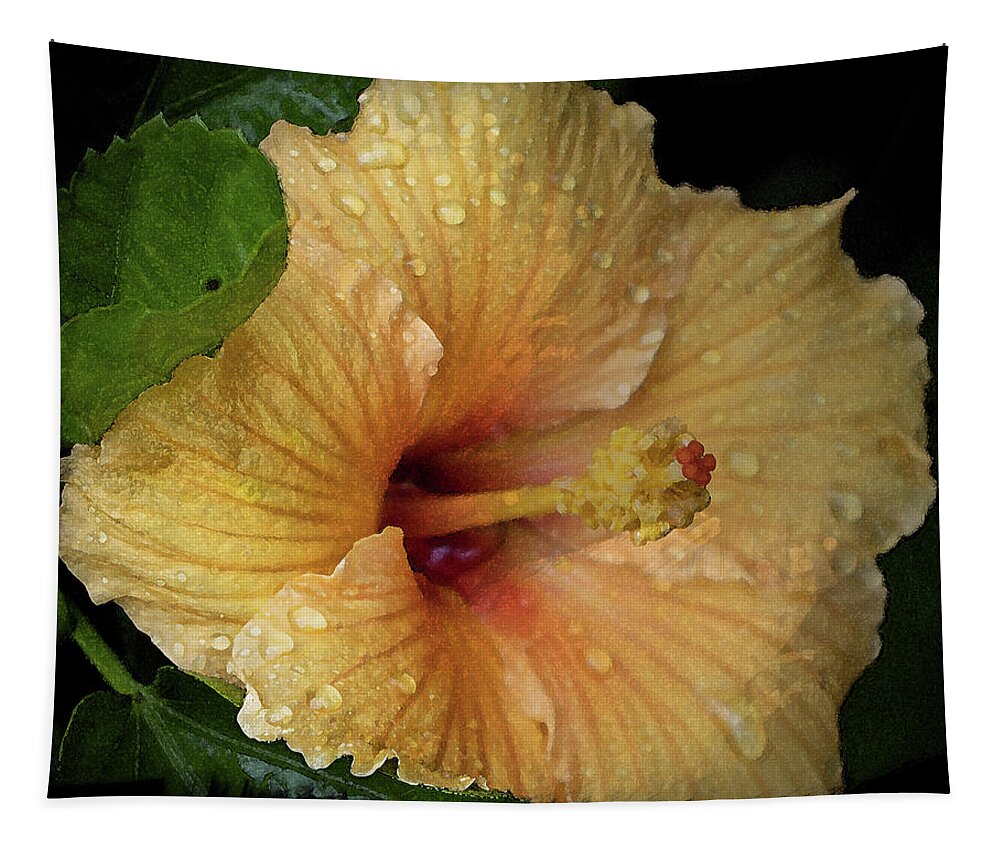 Hibiscus Tapestry featuring the photograph After the Rain by M Kathleen Warren