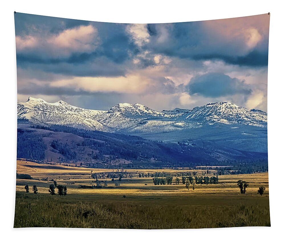 Nature Tapestry featuring the photograph After the Storm by Linda Shannon Morgan