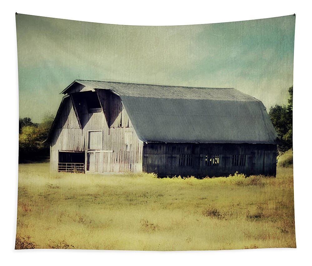 Barn Tapestry featuring the photograph Aging with Grace by Julie Hamilton