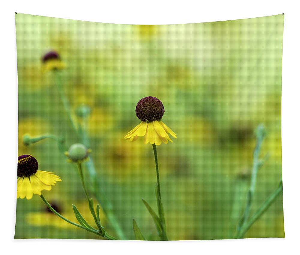 Purple Sneezeweed Tapestry featuring the photograph Alabama Purplehead Sneezeweed Wildflowers by Kathy Clark