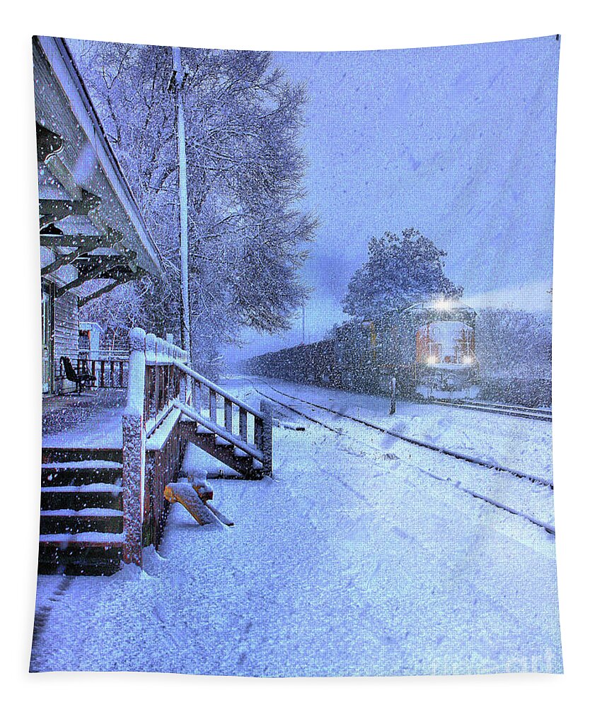 Snow Alabama Tapestry featuring the photograph Alabama Snow by Rick Lipscomb