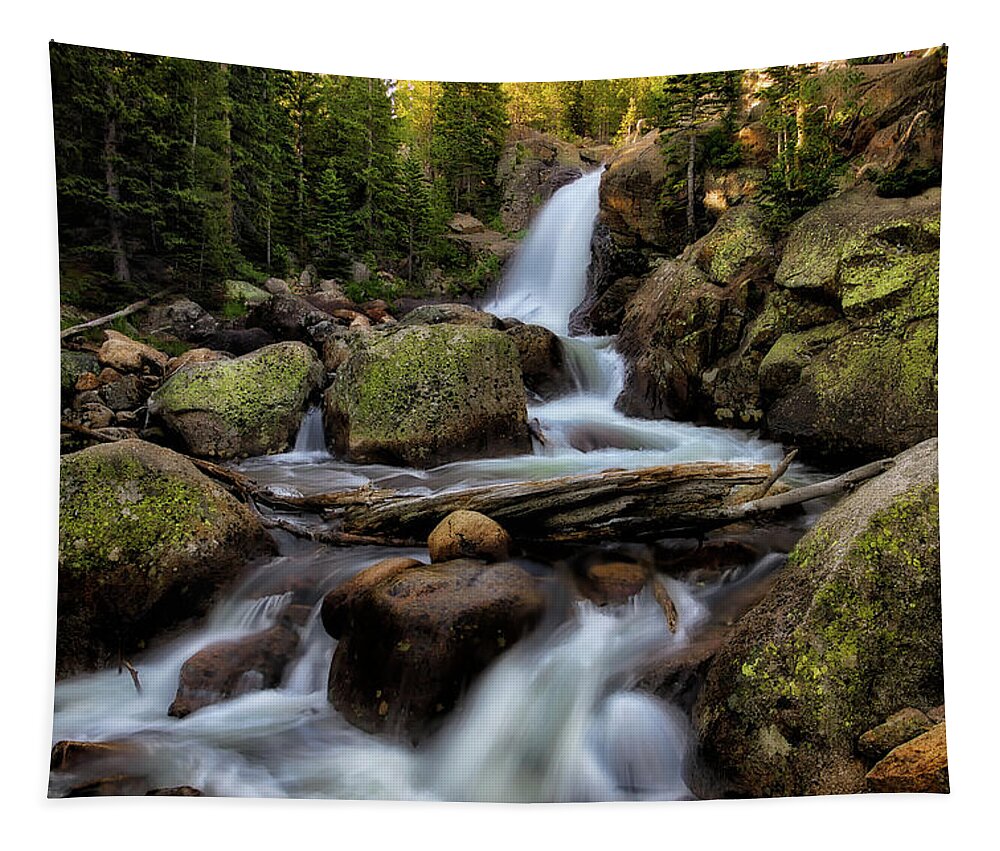 Waterfall Tapestry featuring the photograph Alberta Falls at Sunrise by Chuck Rasco Photography