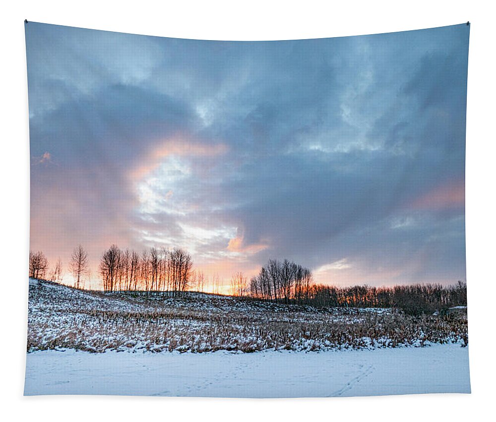 Winter Tapestry featuring the photograph Alberta winter dawn by Karen Rispin