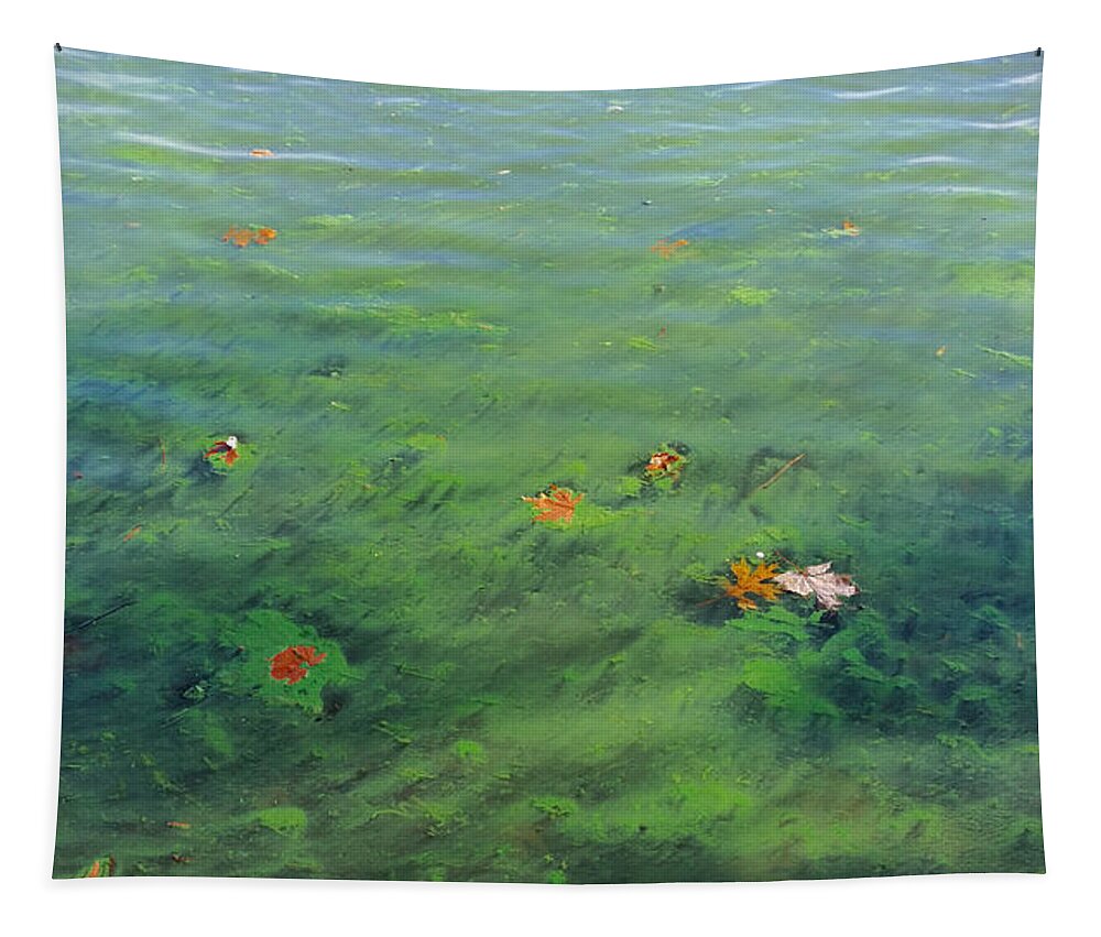 Algae Tapestry featuring the photograph Algae in Lake Water by Ally White