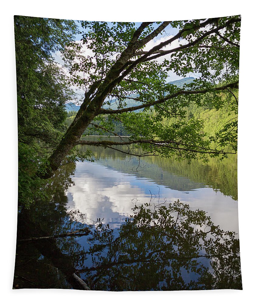 Dv8.ca Tapestry featuring the photograph Alice Lake Serenity by Jim Whitley