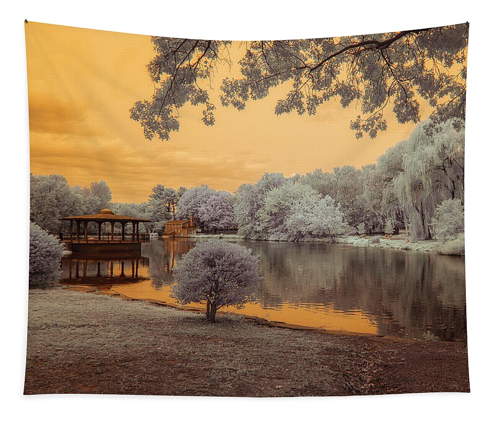 Coopers Pond Tapestry featuring the photograph All is Calm at Coopers Pond by Penny Polakoff
