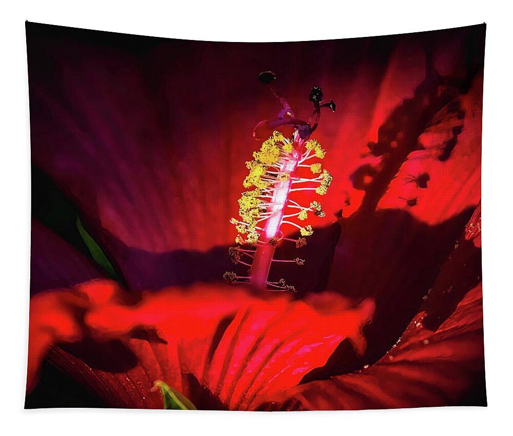 Red Tapestry featuring the photograph All Red by Pam Rendall