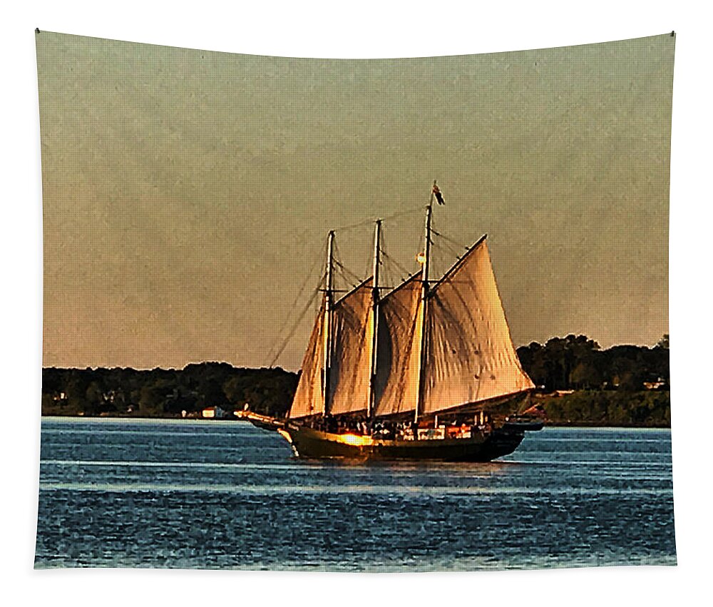  Tapestry featuring the photograph Alliance at Sunset by Stephen Dorton