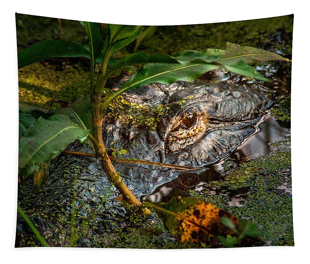 Alligator Tapestry featuring the photograph Alligator Wild by Rebecca Herranen
