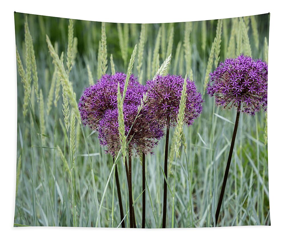 Dow Gardens Tapestry featuring the photograph Allium in the Weeds by Robert Carter