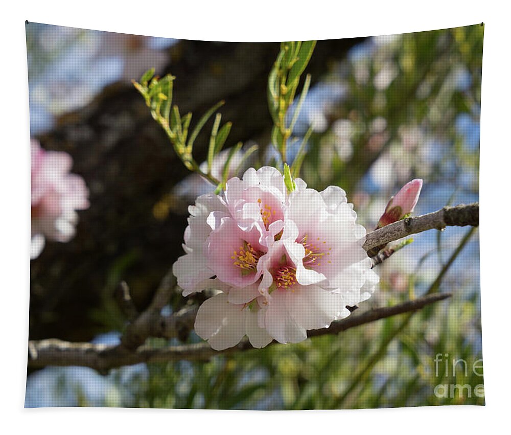 Pink Flowers Tapestry featuring the photograph Almond Blossom 2 by Adriana Mueller