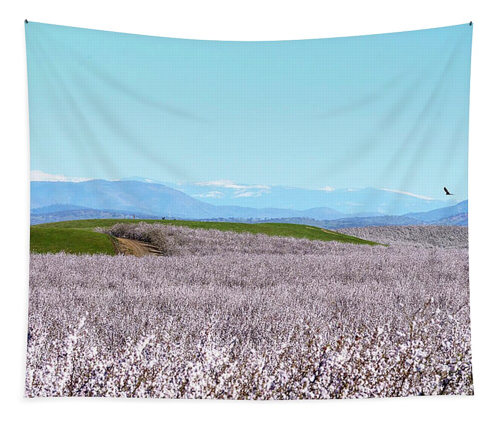 Almond Blossoms Tapestry featuring the photograph Almond Blossoms and Mountains by Michael Hodgson