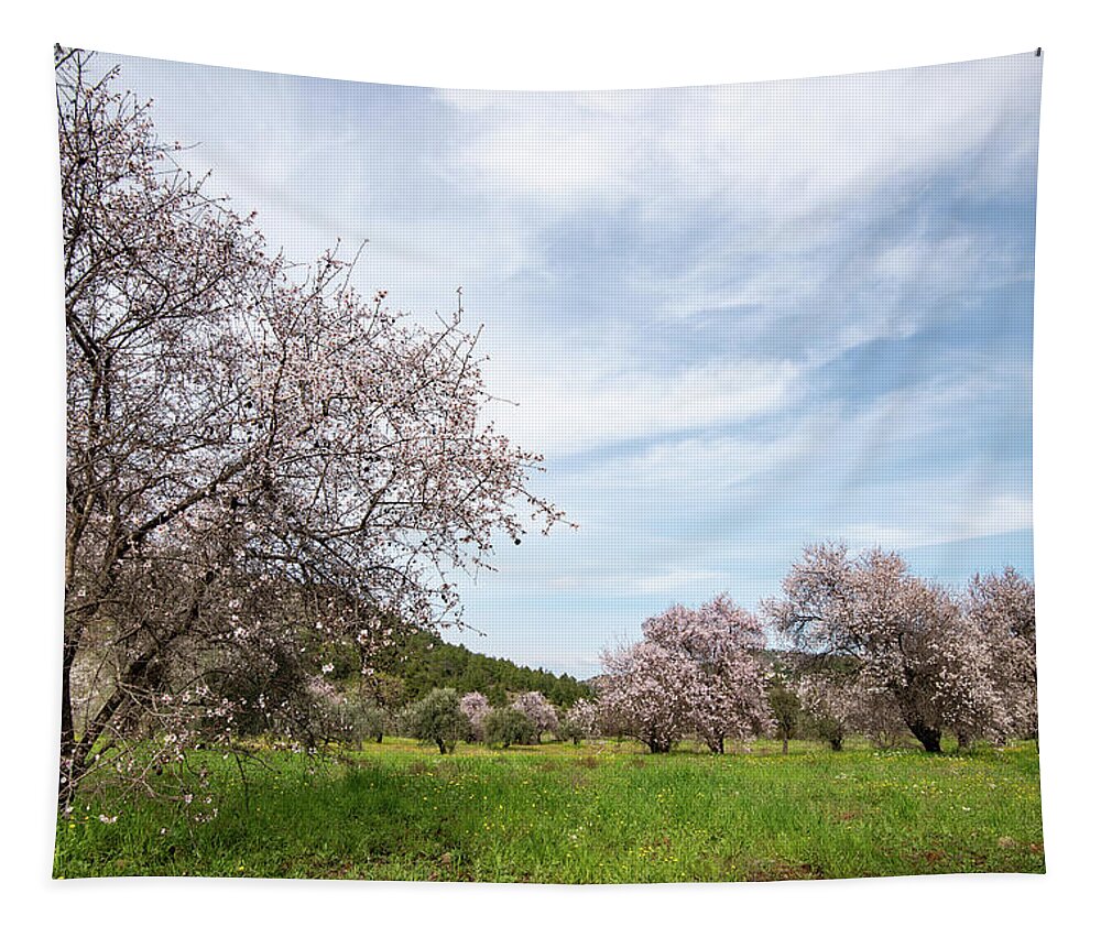 Spring Tapestry featuring the photograph Almond trees bloom in spring against blue sky. by Michalakis Ppalis