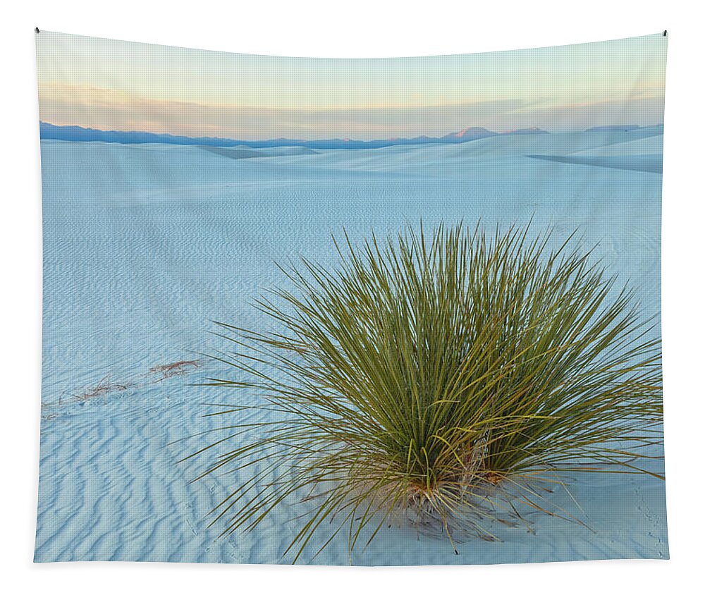 Sand Dunes Tapestry featuring the photograph Alone In Desert by Jonathan Nguyen
