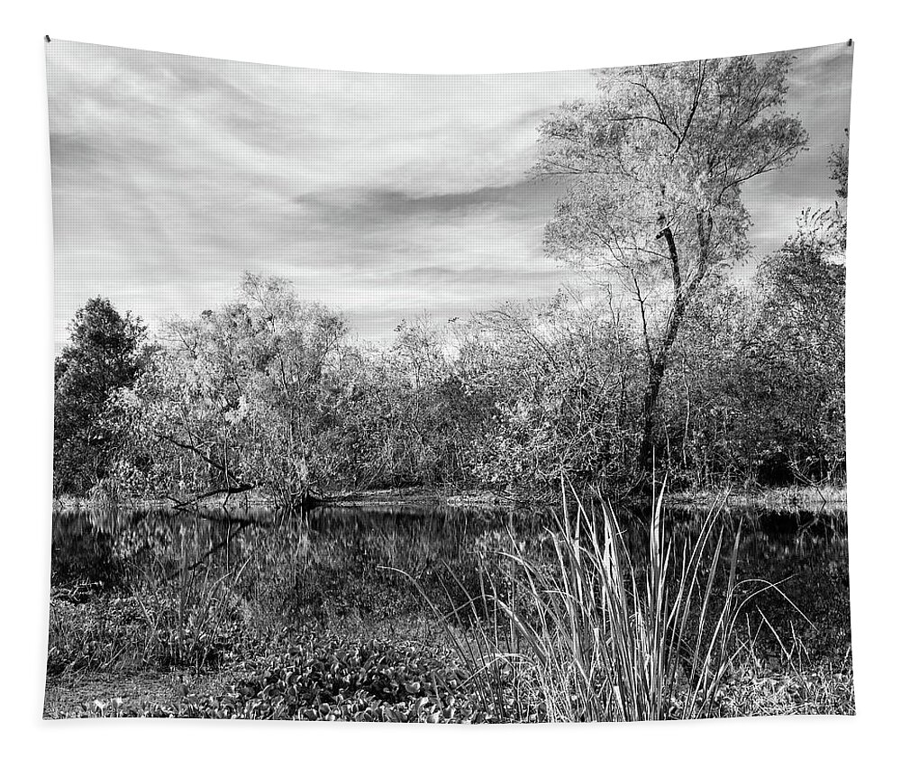 B&w Tapestry featuring the photograph Along The Shore - Near And Far by Mike Schaffner