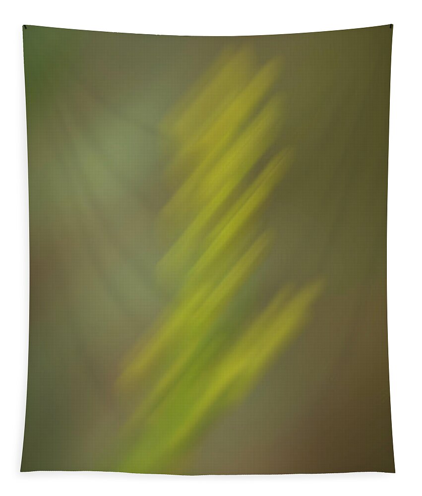 Wildflowers Tapestry featuring the photograph Altered Reality 26 - Wildflower ICM Impressionistic Art by DB Hayes