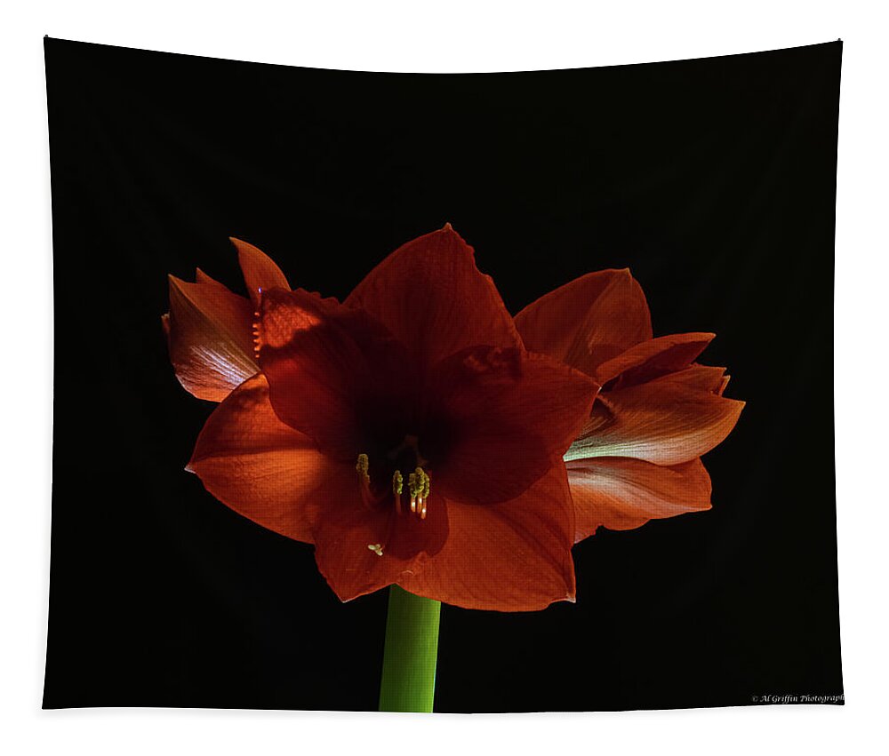 Amaryllis Tapestry featuring the photograph Amaryllis #14 by Al Griffin