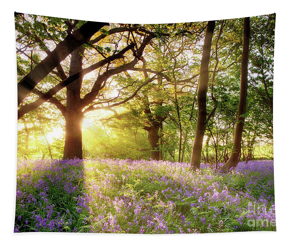Norfolk Tapestry featuring the photograph Norfolk sunrise in bluebell forest England by Simon Bratt