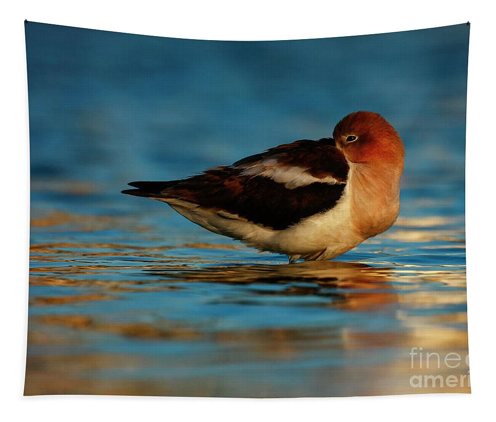 American Avocets Tapestry featuring the photograph Shorebird Solitude by John F Tsumas