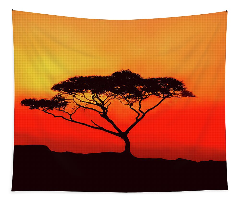 Africa Tapestry featuring the photograph An Acacia Tree in the Sunset by Mitchell R Grosky