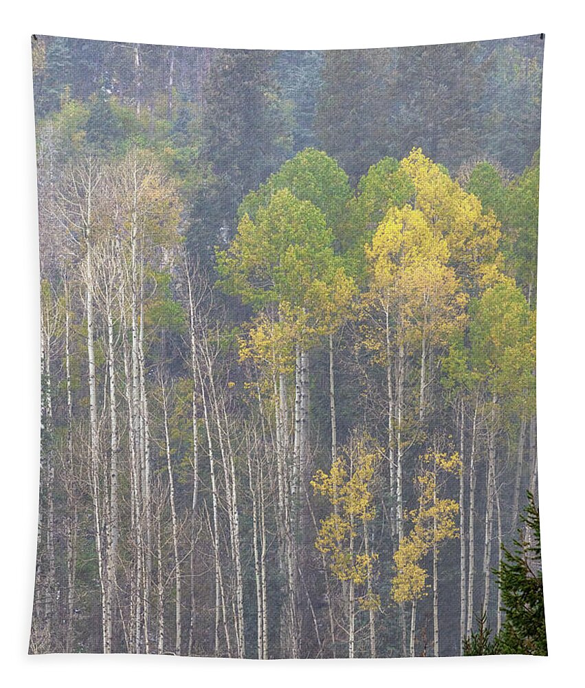 Art Tapestry featuring the photograph An Arizona Muted Fall by Rick Furmanek