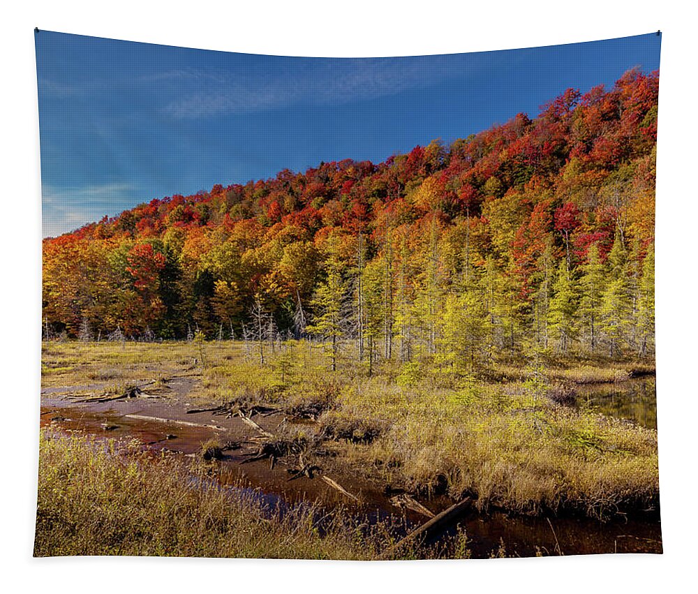 An Autumn Day Tapestry featuring the photograph An Autumn Day by David Patterson