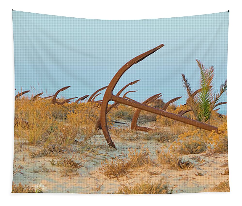 Tavira Tapestry featuring the photograph Anchors in Barril Beach by Angelo DeVal