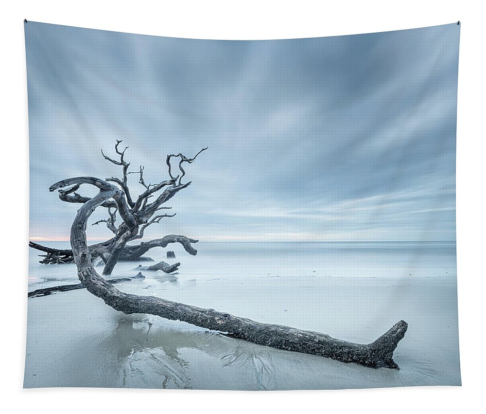 Driftwood Beach Tapestry featuring the photograph Ancient Driftwood by Jordan Hill