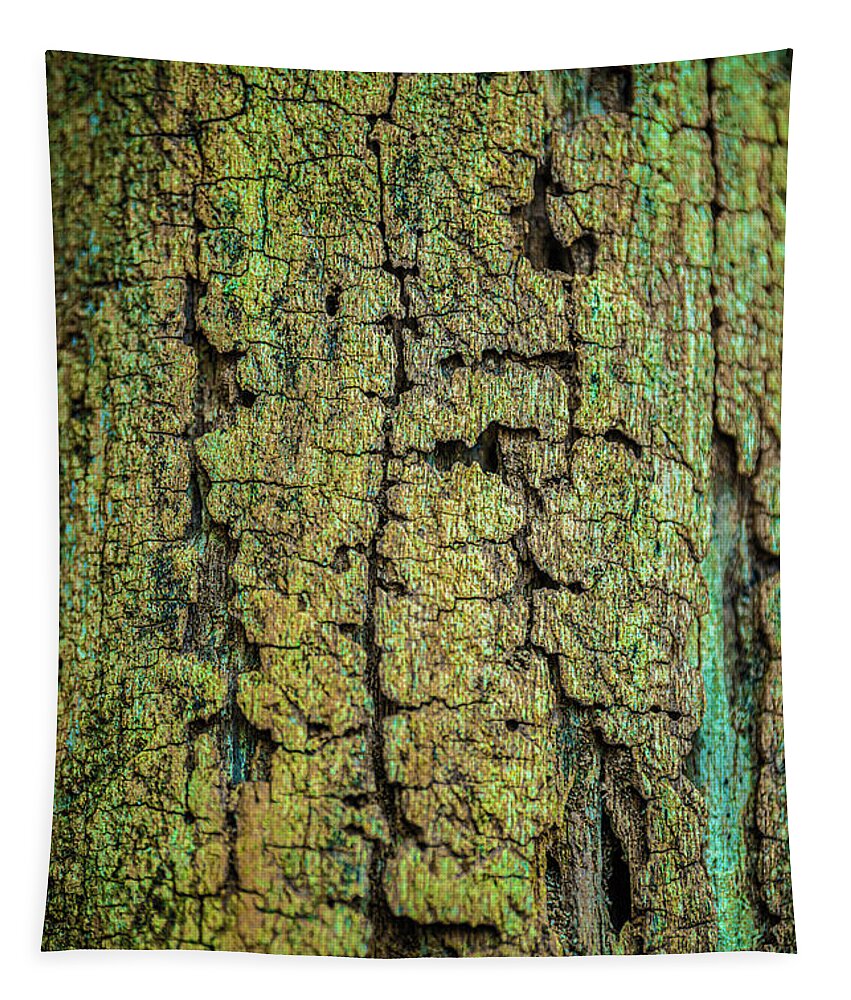 Ancient Tapestry featuring the photograph Ancient Gold Wood Bark Abstract by Bruce Pritchett